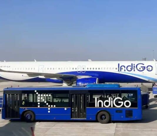 Indigo