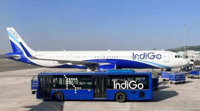 Indigo