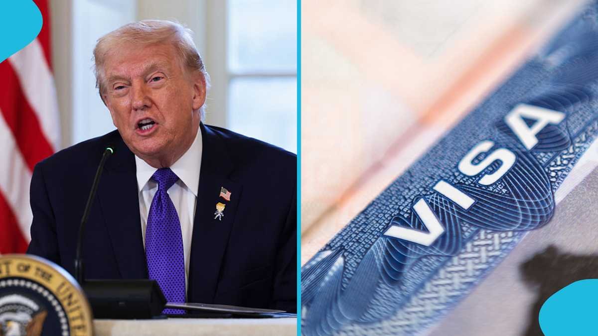 US Announces New Travel Requirement International Air Passengers, Discloses Start Date - Yen News
