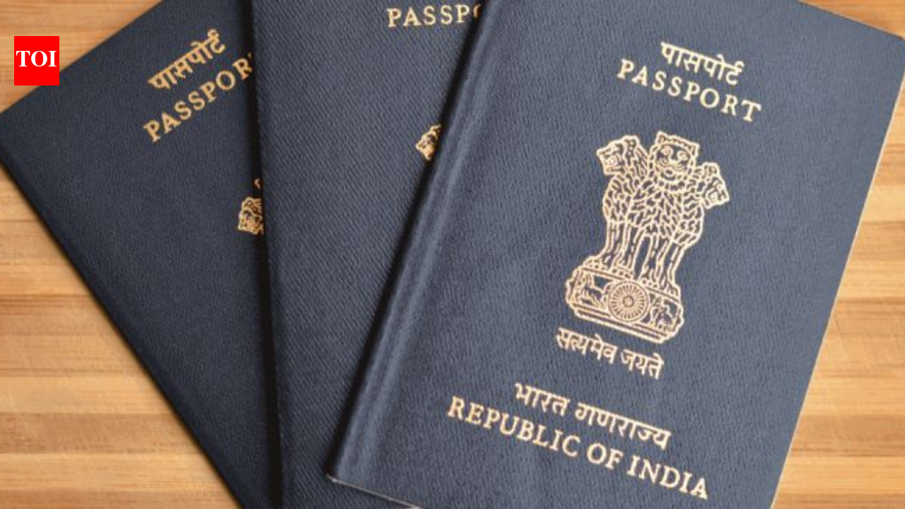 Delhi HC rejects PIL against passport fee hike for NRIs - The Times of India