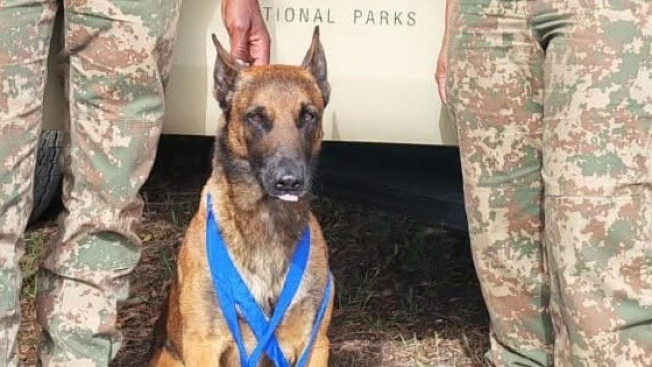 Monday Smile: SANParks’ Dash is top dog
