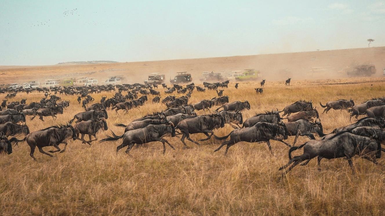 Kenya secures US$160m for conservation