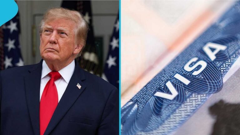 US Releases List of Countries Whose Citizens Qualify for the Visa Waiver Programme - Yen News