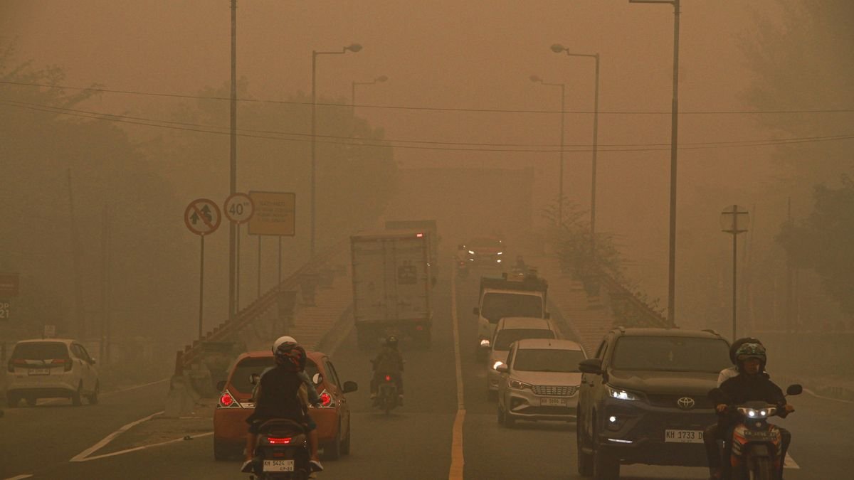 Smoke Without a Passport - Kompas.com