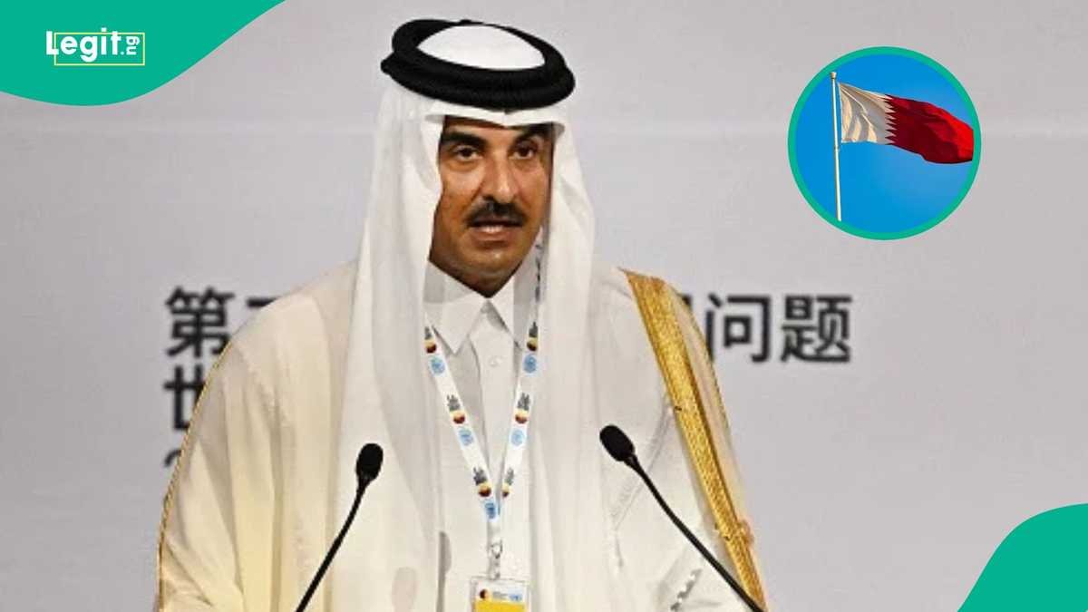 Qatar outlines 4 eligibility rules for foreigners seeking e-travel authorisation - Legit News