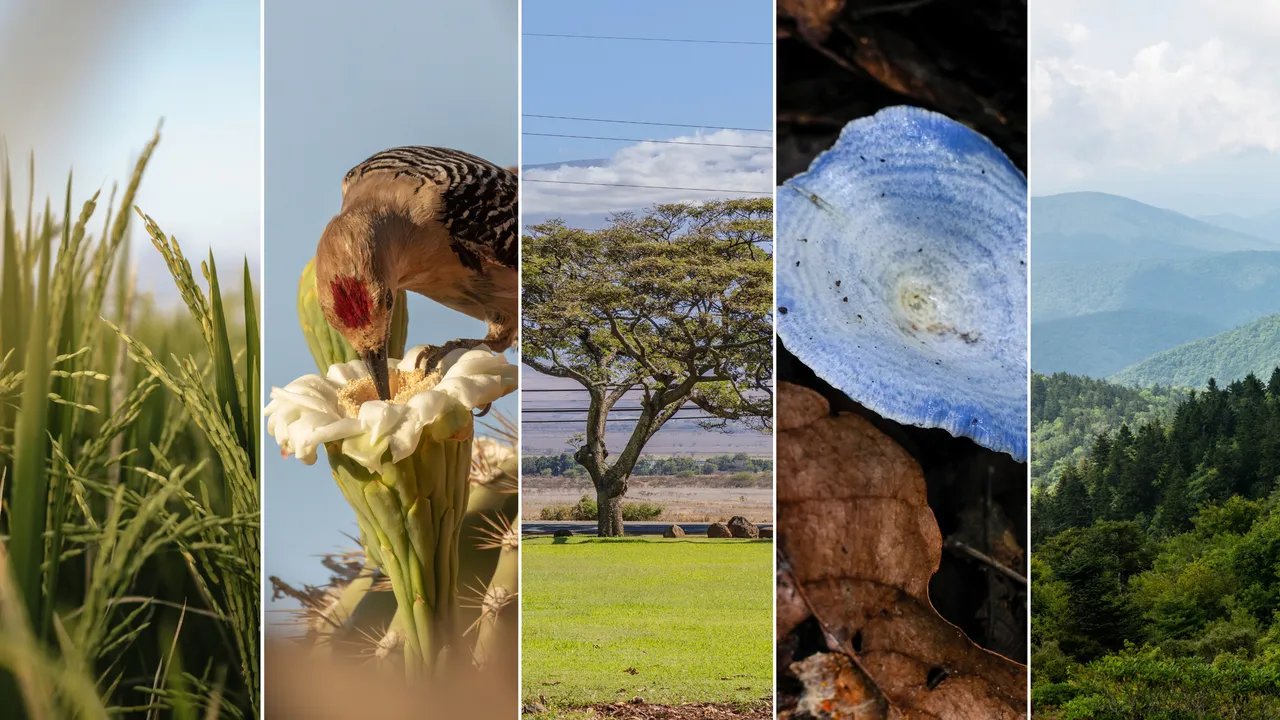 6 Places in the US Where Travelers Can Hunt, Fish, or Forage for Their Own Food
