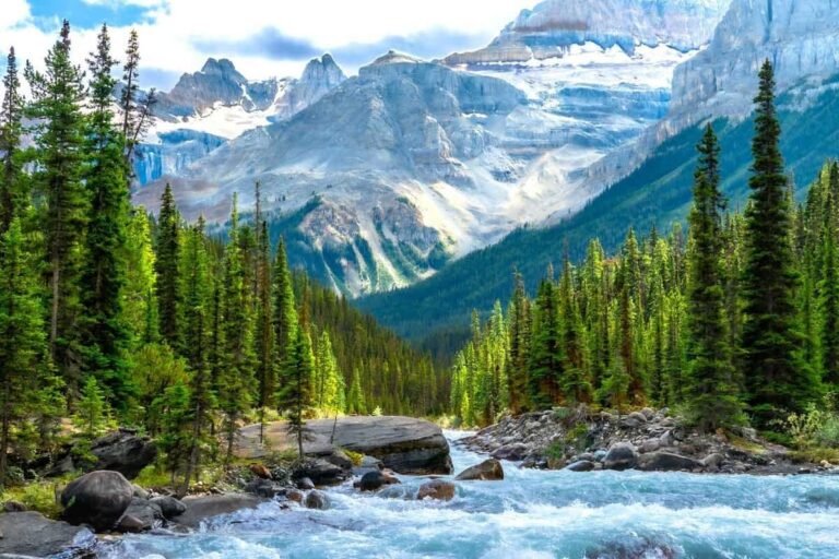 Canada invites 5,000 francophones to apply for permanent residence