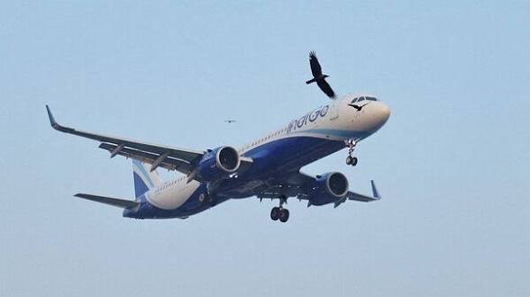 Goa Cuts Aviation Fuel VAT to 7%, IndiGo Welcomes Move