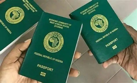 Tanzania Removes Nigerian Travellers From Referred Visa Category - LEADERSHIP Newspapers