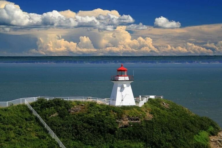 New Brunswick selects 63 AIP candidates for provincial immigration
