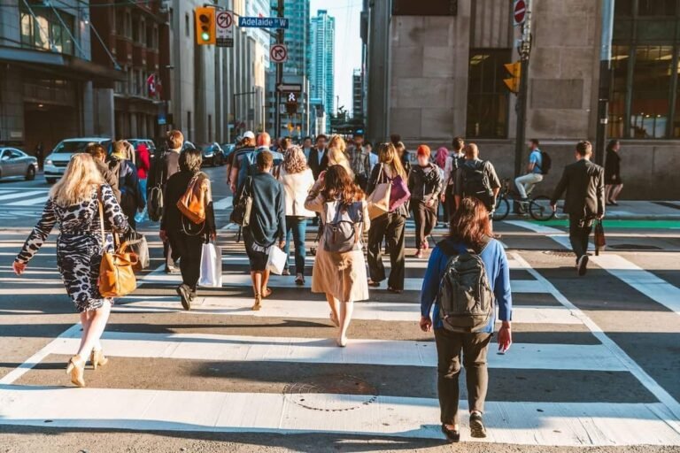 IRCC releases updated breakdown of Express Entry candidates by CRS score
