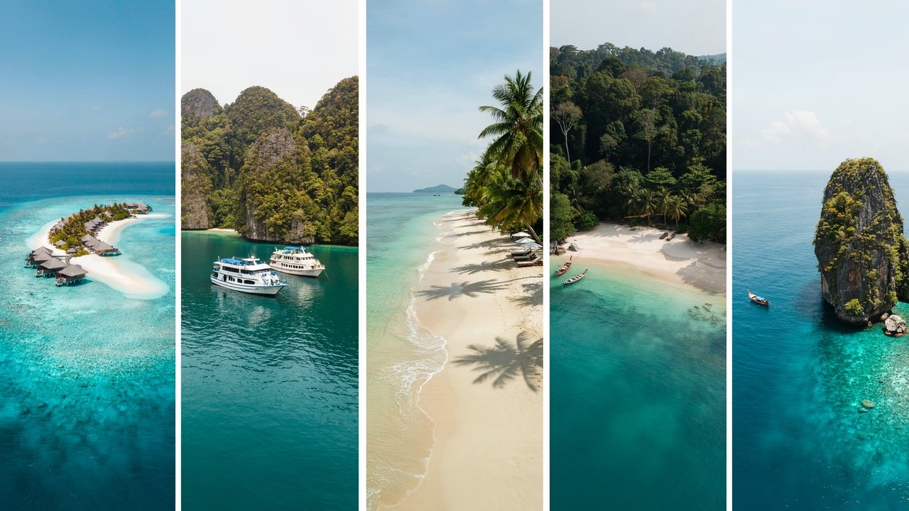 Asia Dive Tourism Surges as India, Maldives, Indonesia and Thailand Attract Winter Holidaymakers: Things You Need to Know