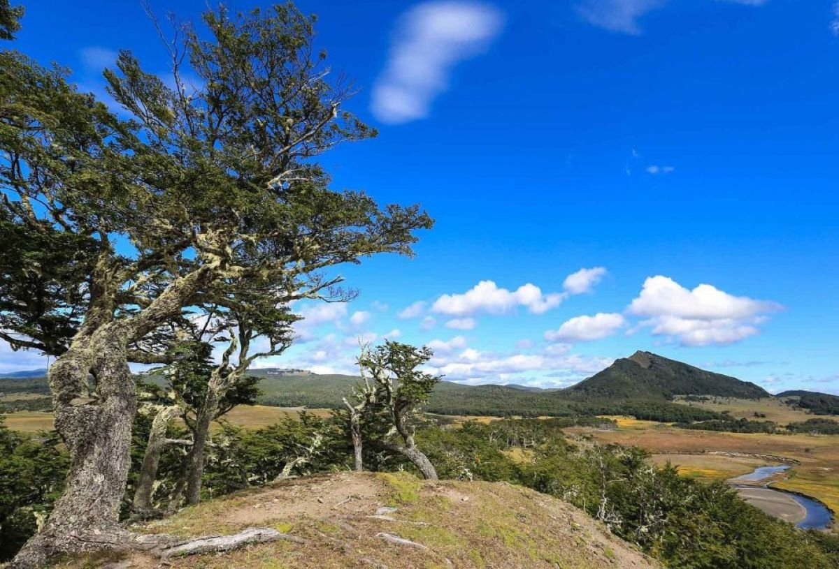 South America Sparks A Spectacular Travel Sensation As Chile And Colombia Reveal Instagrammable Destinations, But What Makes Them So Extraordinary?