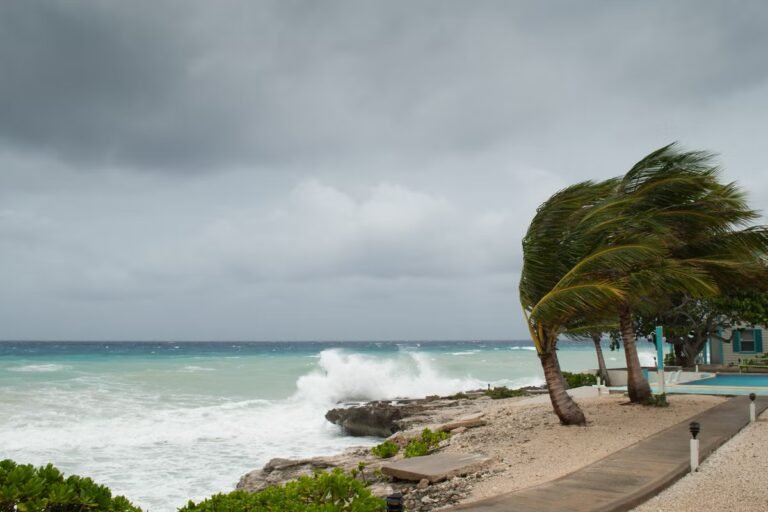What will El Nino and potential extreme weather mean for travel?
