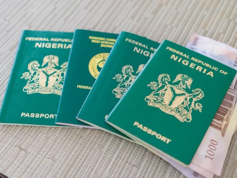 Nigeria’s passport ranking falls to 181, visa-free access shrinks - Punch Newspapers