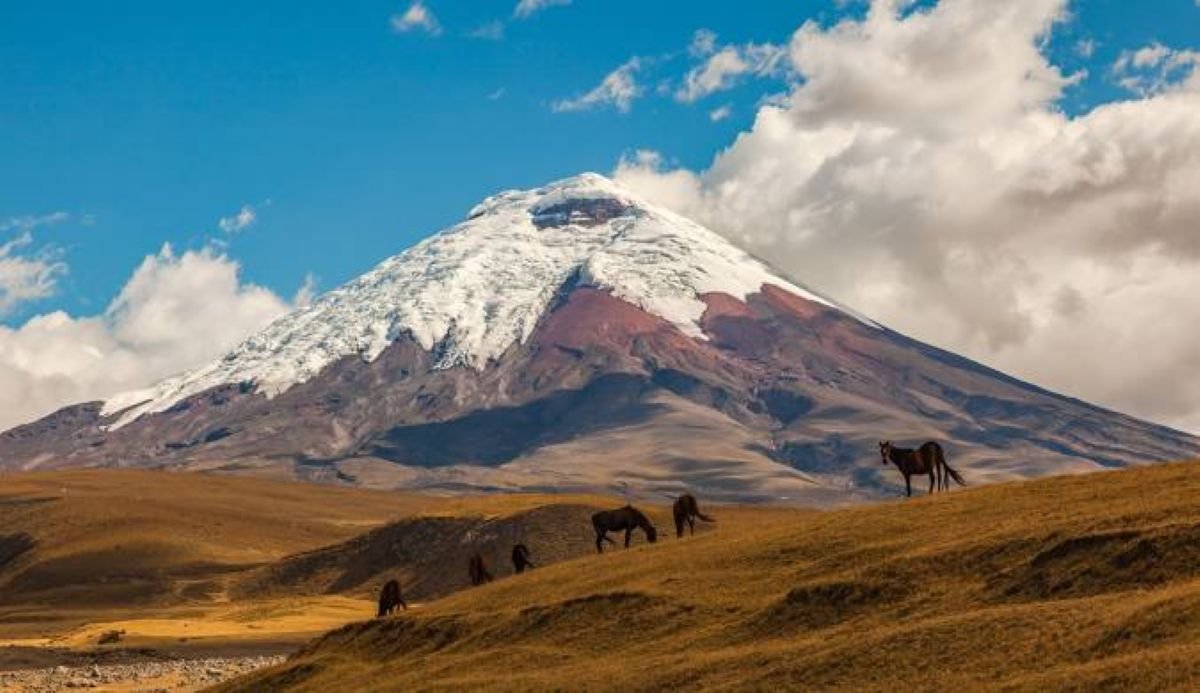 Quito Exposes Stunning New Tourist Fare Hikes Revealing Shocking Secret Travel Expense Rules Across Ecuador, Here’s The Latest Update