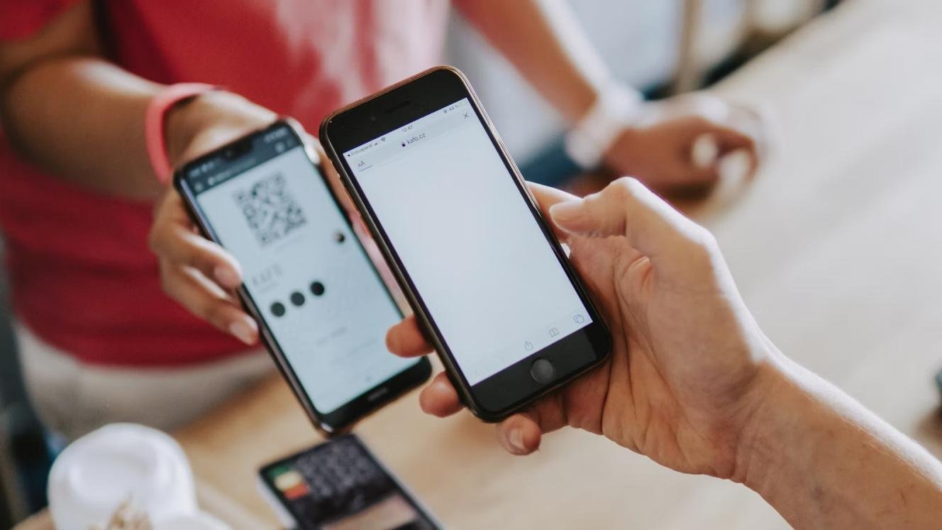 Digital tipping platform launched for safari industry